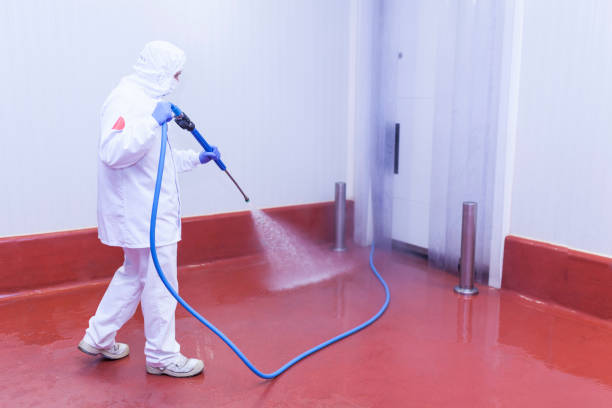 Reliable Browns Mills, NJ Pressure Washing Services Solutions